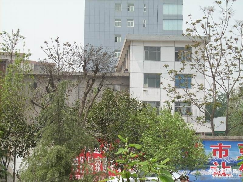 郑州市烟草专卖局(公司) 86_77244