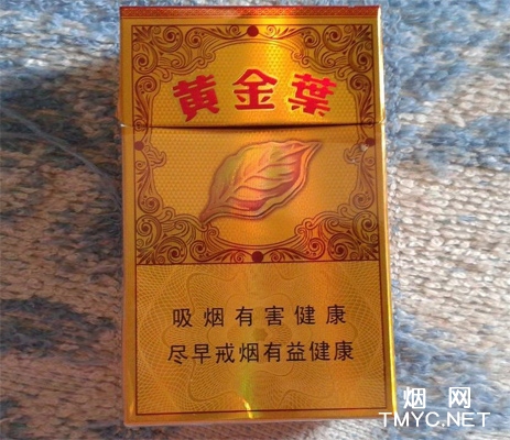 黄金叶(流金岁月)相册 304_39209