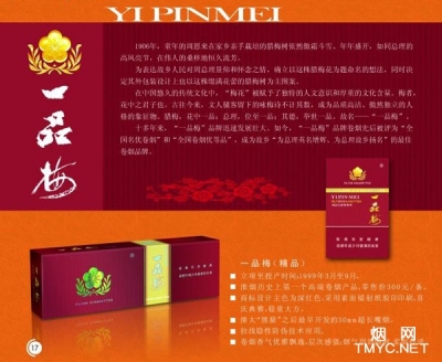 一品梅(精品)相册 