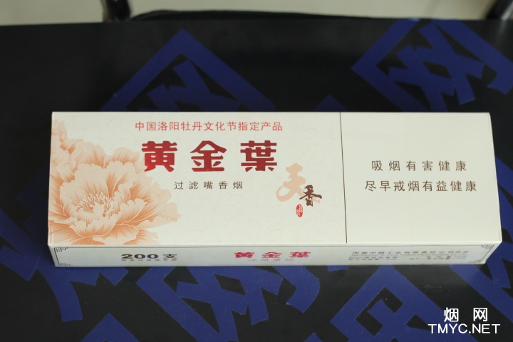 黄金叶(天香.洛阳牡丹文化节)相册 306_52261