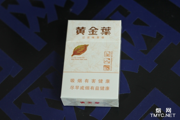 黄金叶(小天叶)相册 305_84020