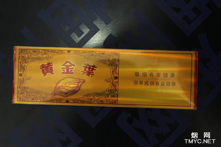 黄金叶(流金岁月)相册 304_66793