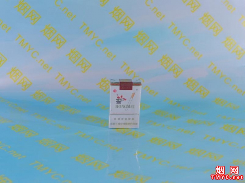 红梅(软顺)相册 334_28712