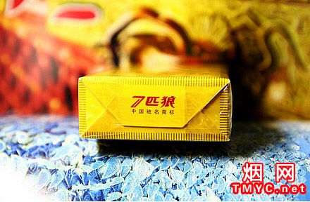 七匹狼(通运)相册 1126_15127