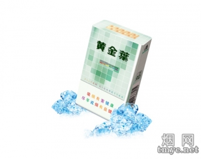 黄金叶尚酷相册 