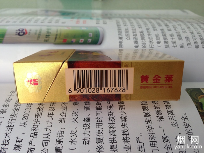 黄金叶(洛烟)相册 2312_63962