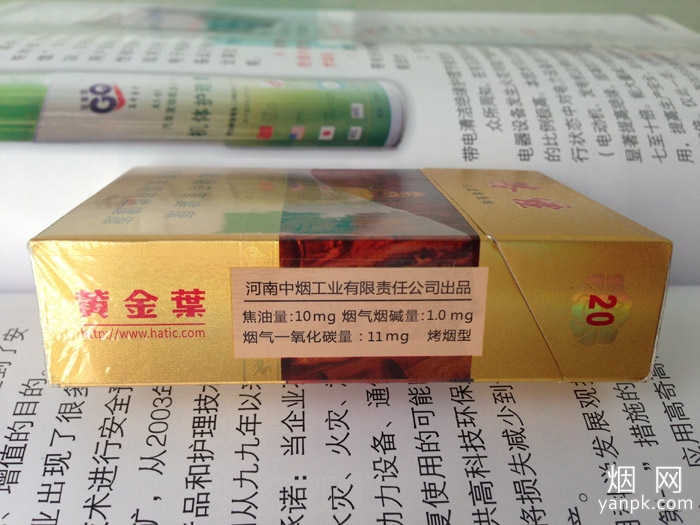 黄金叶(洛烟)相册 2312_64338