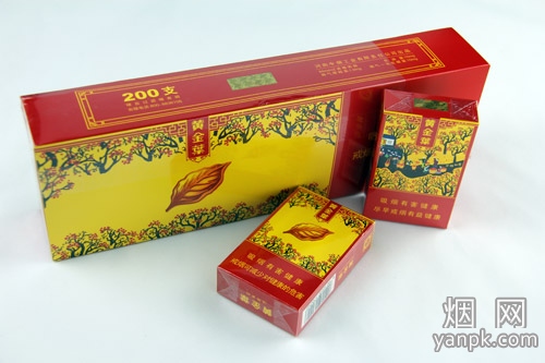 黄金叶(金如意)相册 2320_65107