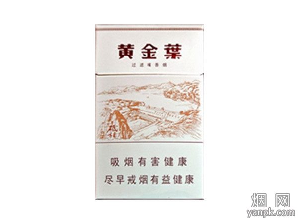 黄金叶三门峡相册 313_80694