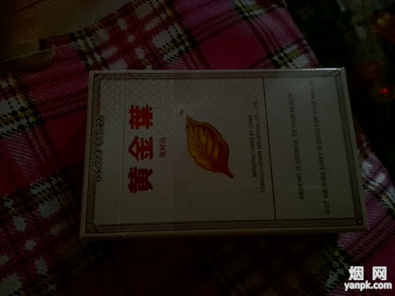 黄金叶(发时达)相册 3049_58312