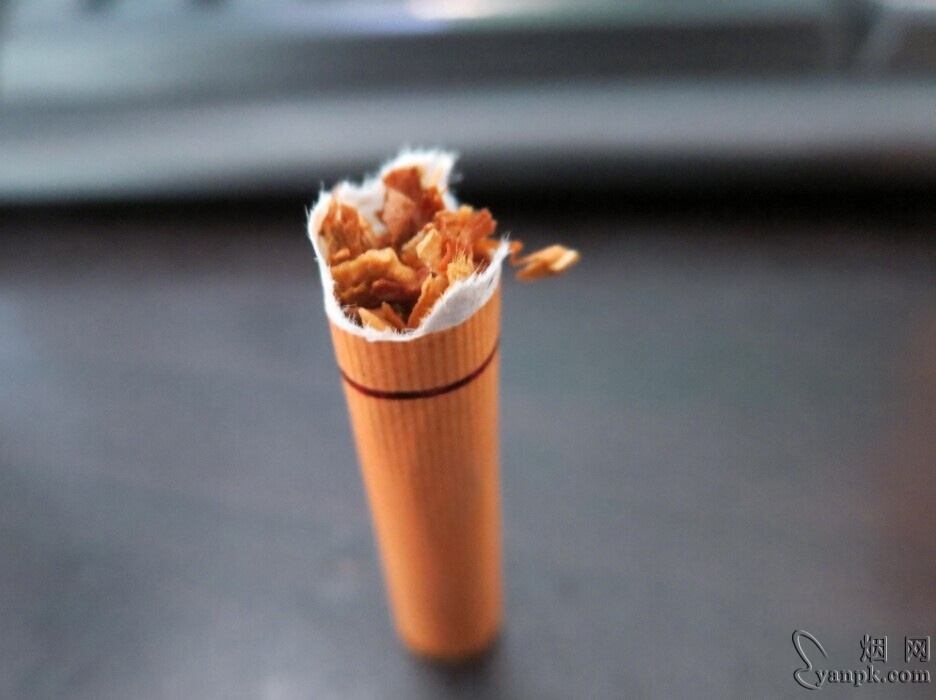 红山茶(精品)相册 红山茶(精品)香烟