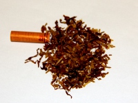 红双喜(晶派)相册 