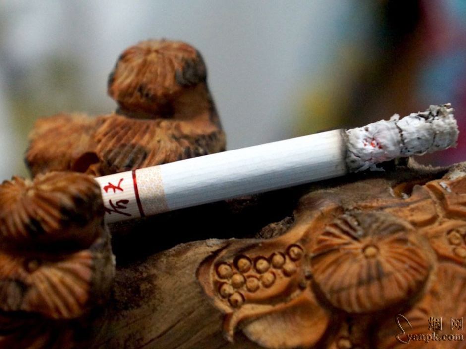 双喜(春天1979)相册 15