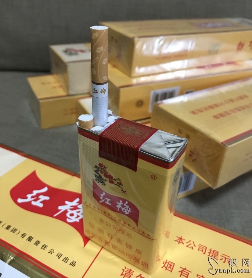 红梅(软黄)相册 333_50182