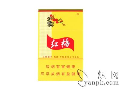 红梅(硬黄)相册 337_40437