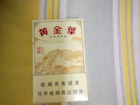 黄金叶(上河图)相册 