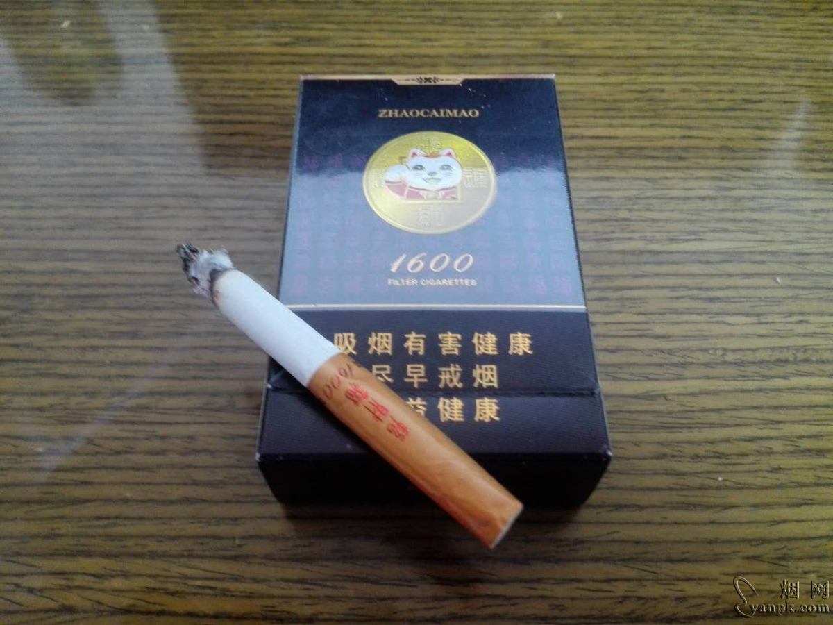 好猫(招财进宝1600)