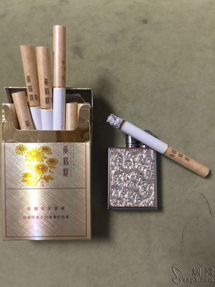 黄鹤楼(硬乐道)相册 234_24683