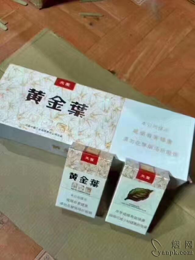 黄金叶(天叶)相册 290_12296