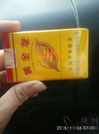 黄金叶(软大金圆)相册 291_30113