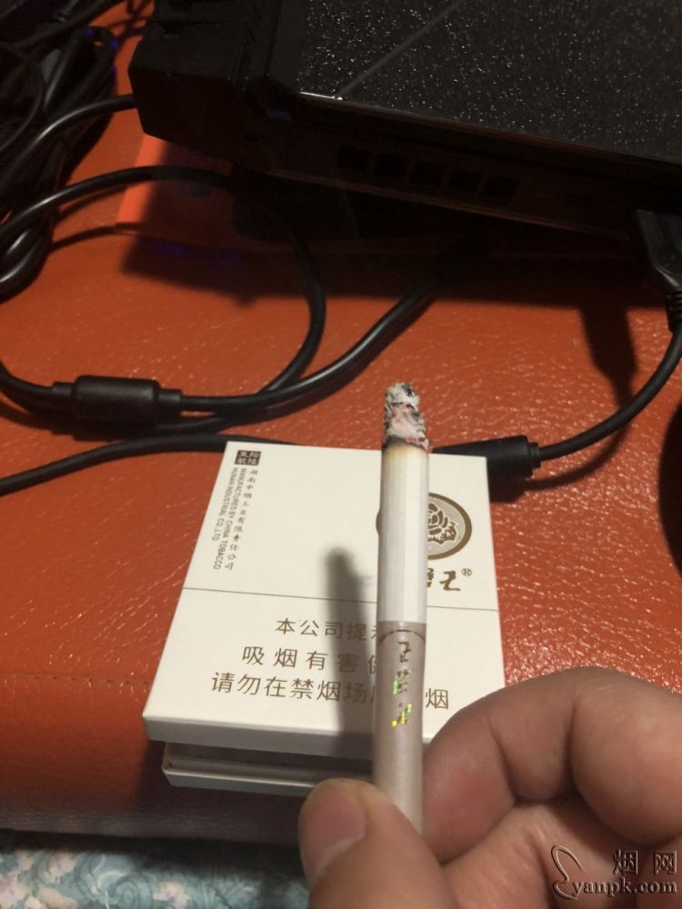 芙蓉王(匠心手作)相册 93795_20231