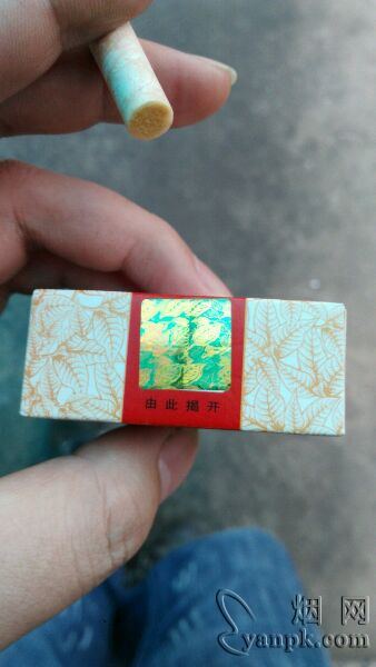 黄金叶(天叶)相册 290_36611