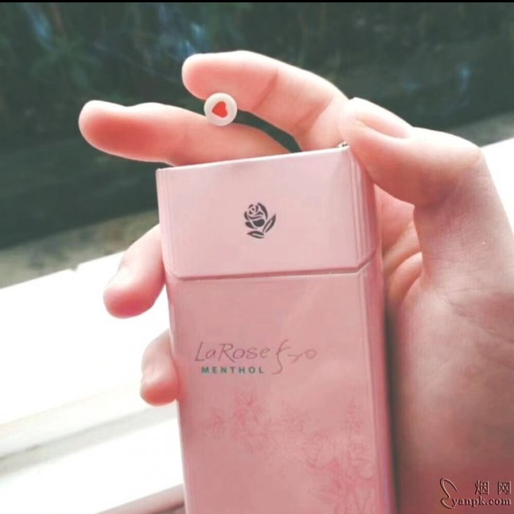 520(玫瑰)相册 1853_97357