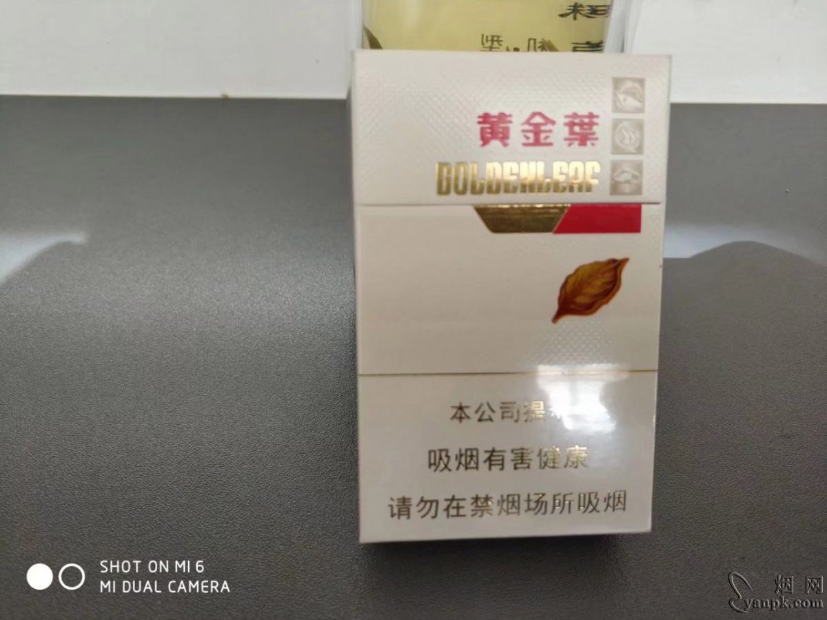 黄金叶金丝路相册 92605_74838