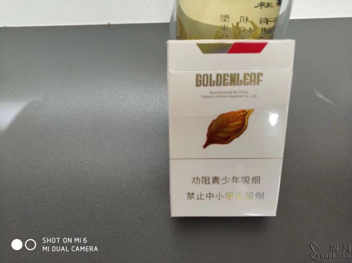 黄金叶金丝路相册 92605_20755