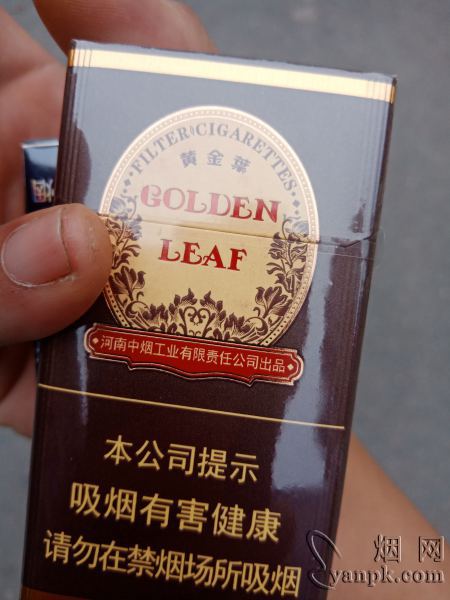 黄金叶尚酷相册 2412_93202