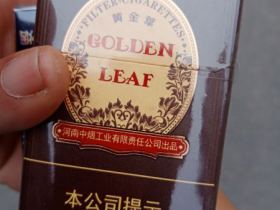 黄金叶尚酷相册 