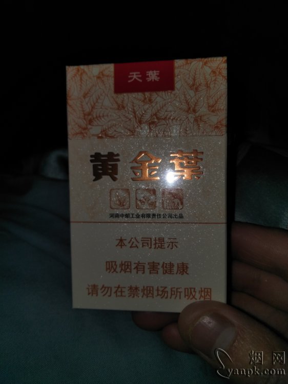 黄金叶(天叶)相册 290_33538