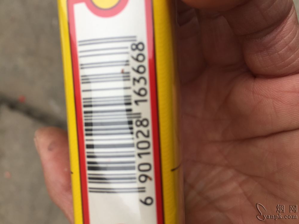 黄金叶(软大金圆)相册 291_55483