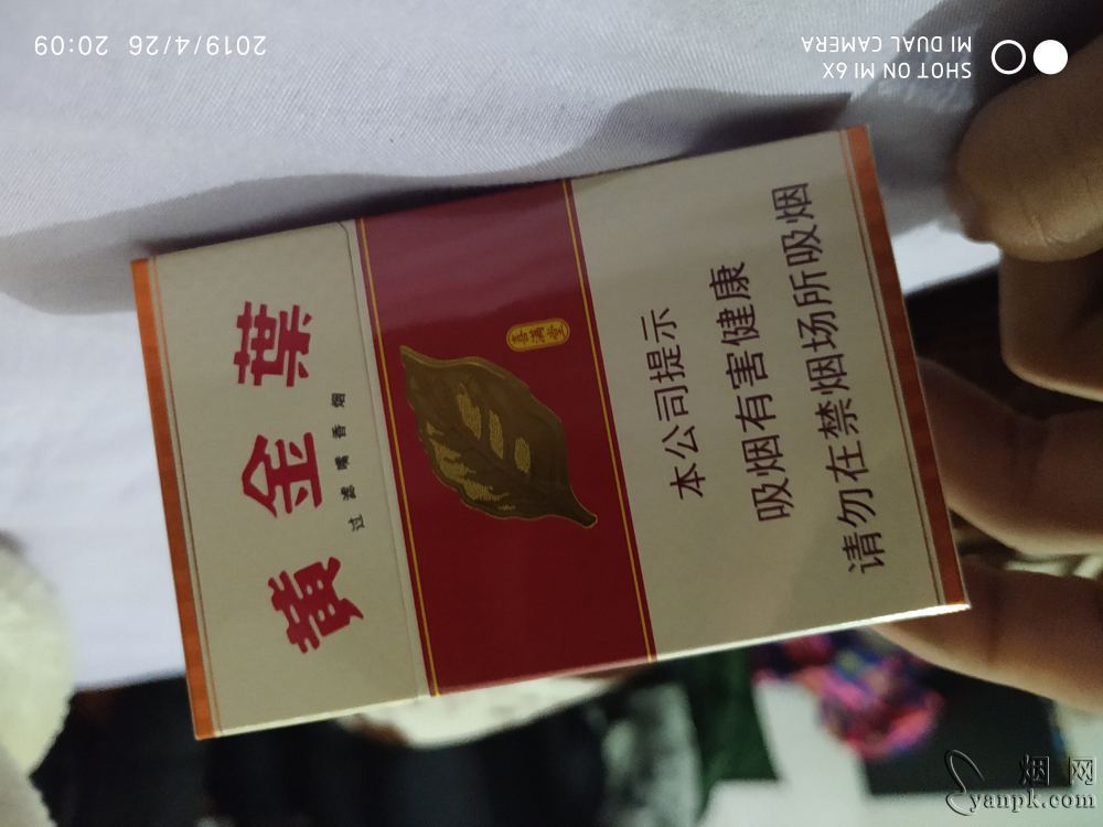 黄金叶(金满堂)相册 297_27168