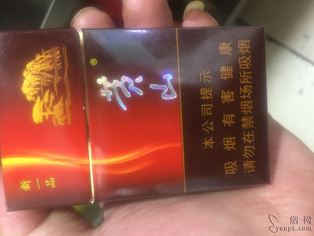 黄山新一品相册 92746_91845