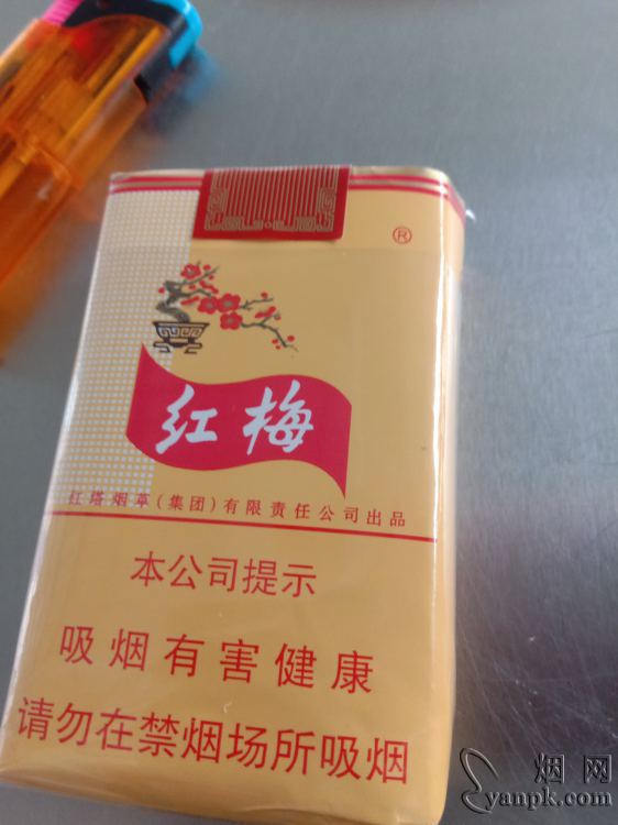 红梅(软黄)相册 333_31516