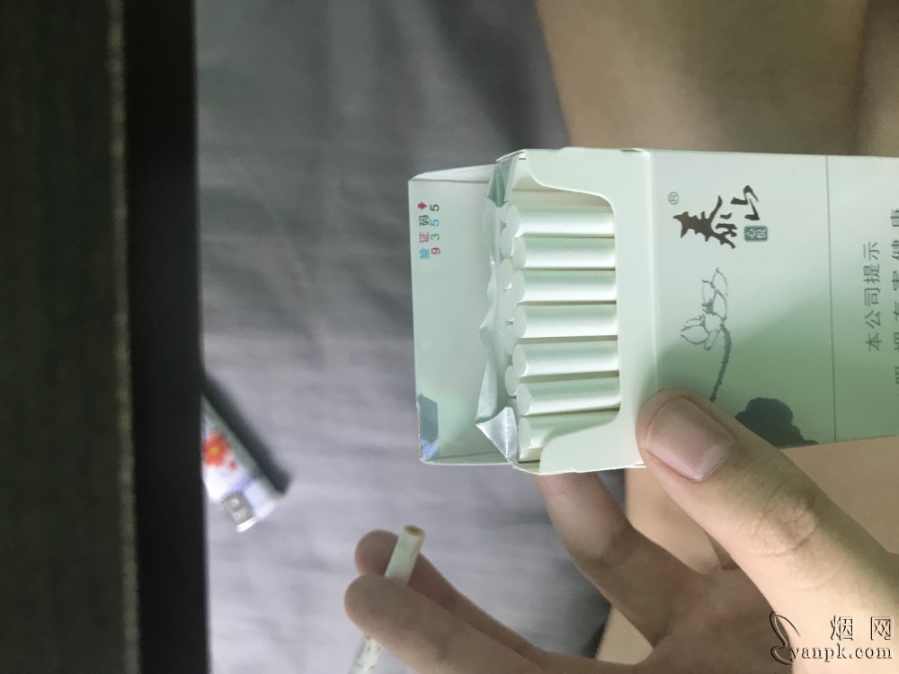 泰山(心悦)相册 1699_82751