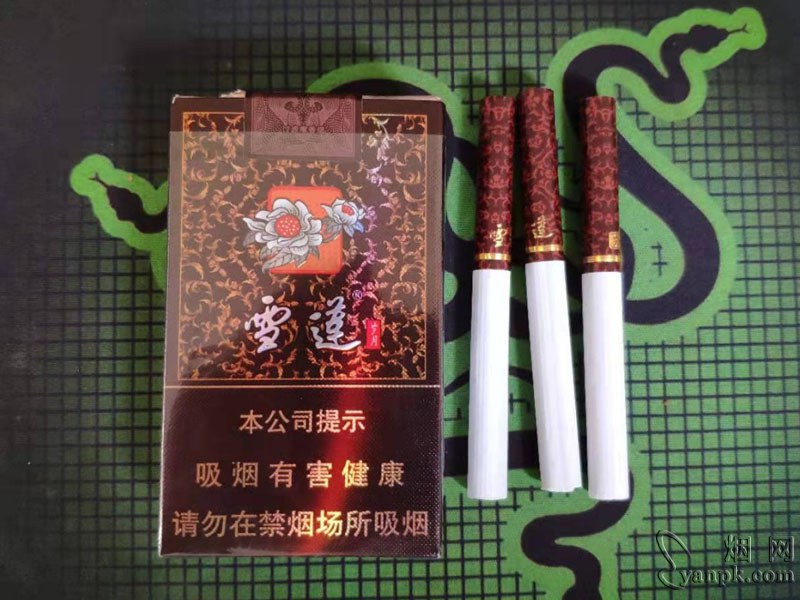 雪莲(岁月)相册 5713_27358