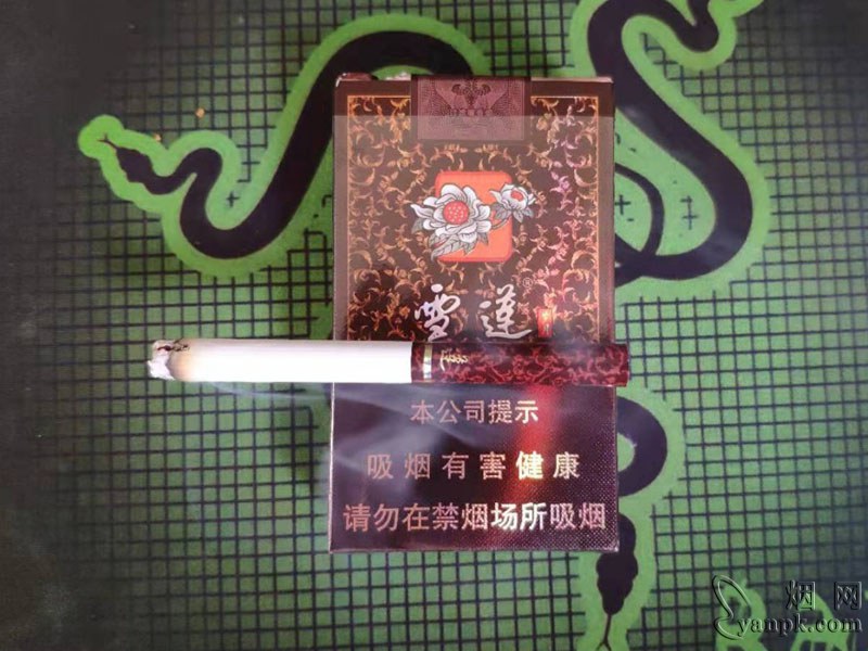 雪莲(岁月)相册 5713_96212