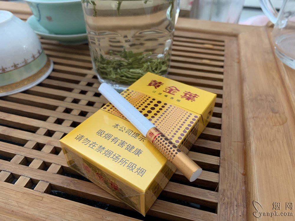 黄金叶(黄金眼)相册 295_32145