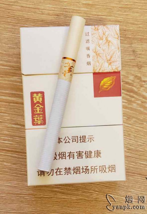 黄金叶小黄金相册 26513_67225