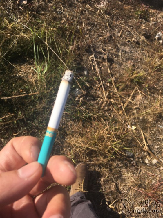 钻石软荷花相册 93749_37314