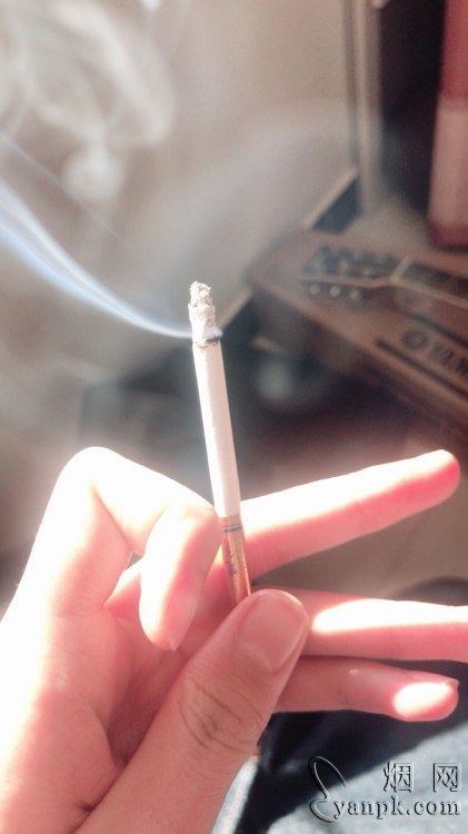 娇子(宽窄好运细支)相册 93634_15564