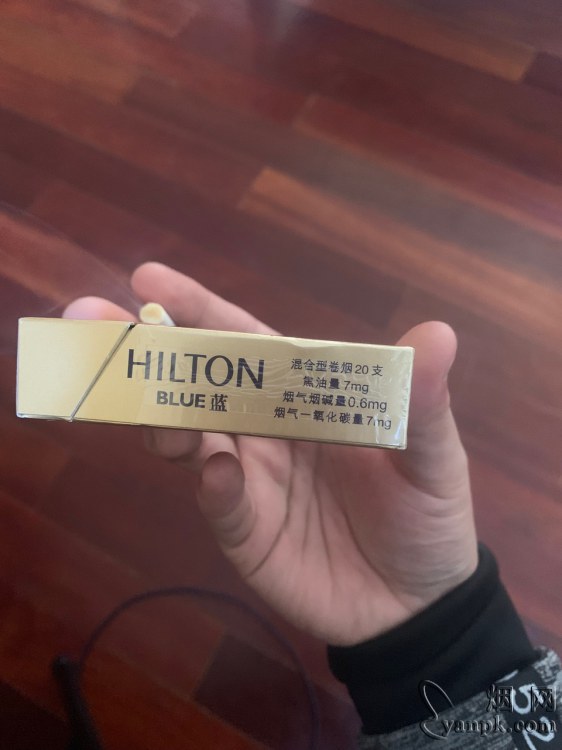 希尔顿(蓝)相册 2176_27226