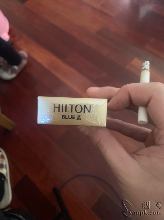希尔顿(蓝)相册 2176_52094