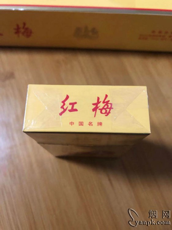 红梅(硬黄)相册 337_97651