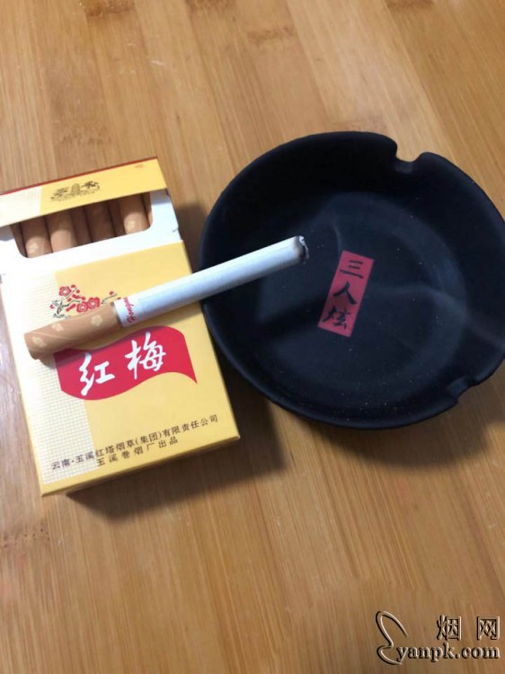 红梅(硬黄)相册 337_30332