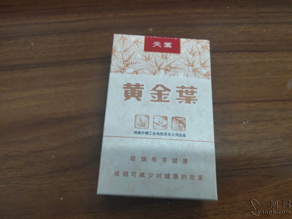 黄金叶(天叶)相册 290_53950