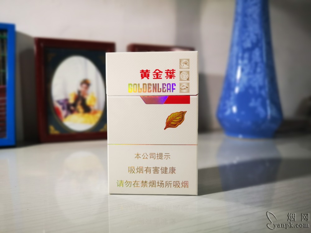 黄金叶金丝路相册 92605_81941