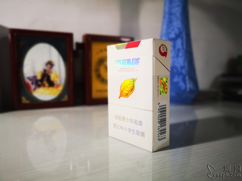 黄金叶金丝路相册 92605_86311